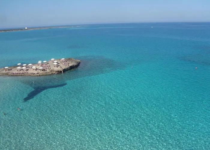 Francesca 加利波利